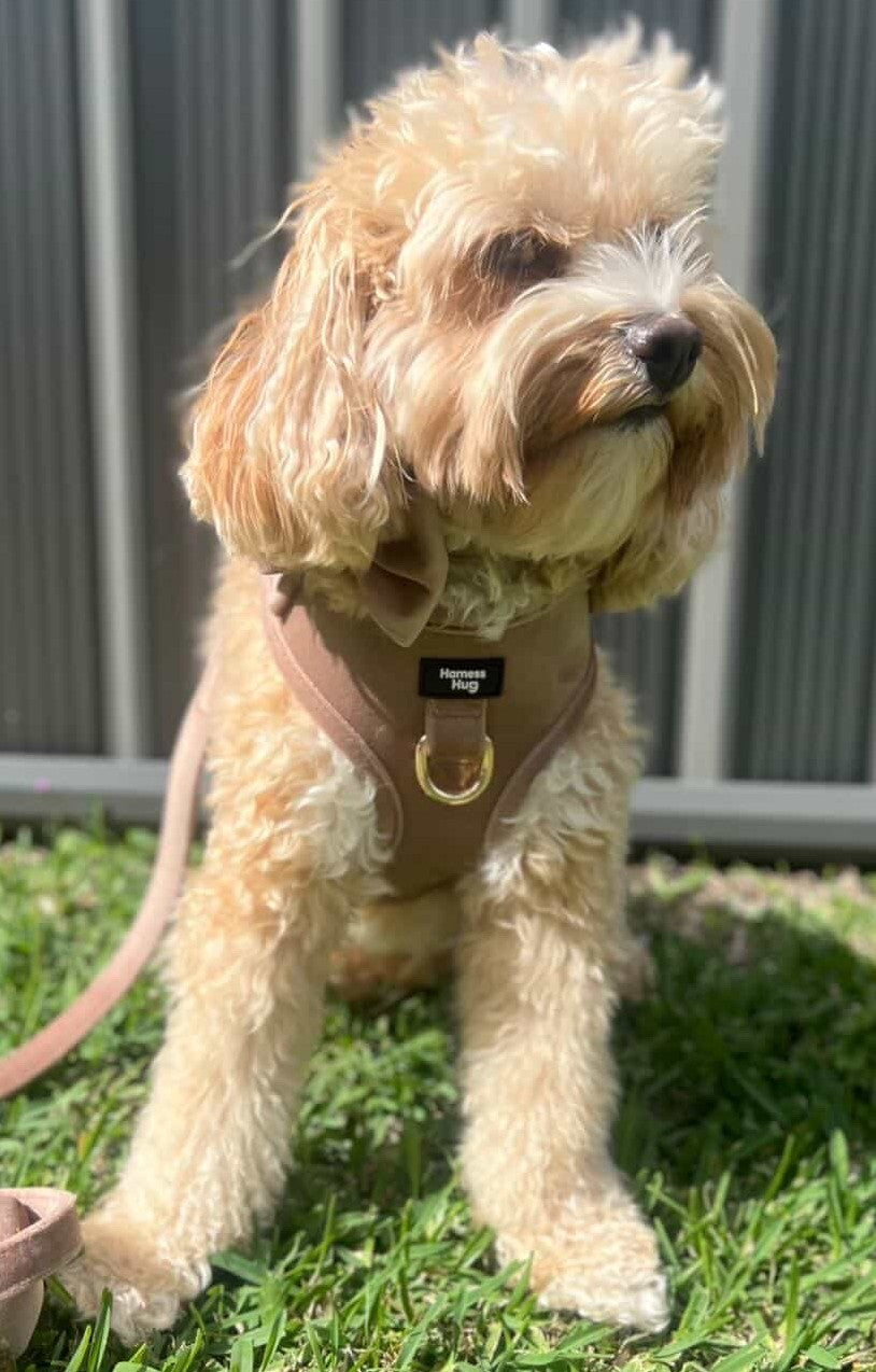 Harnesses
