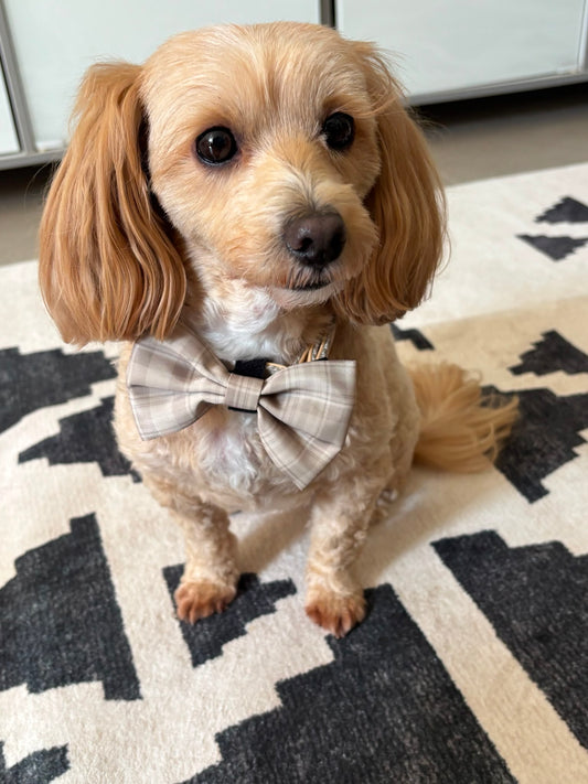 Bow tie
