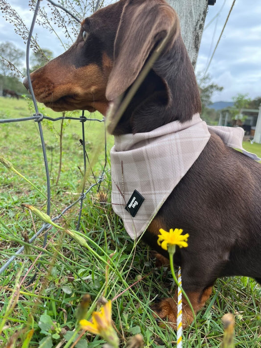 Bandana