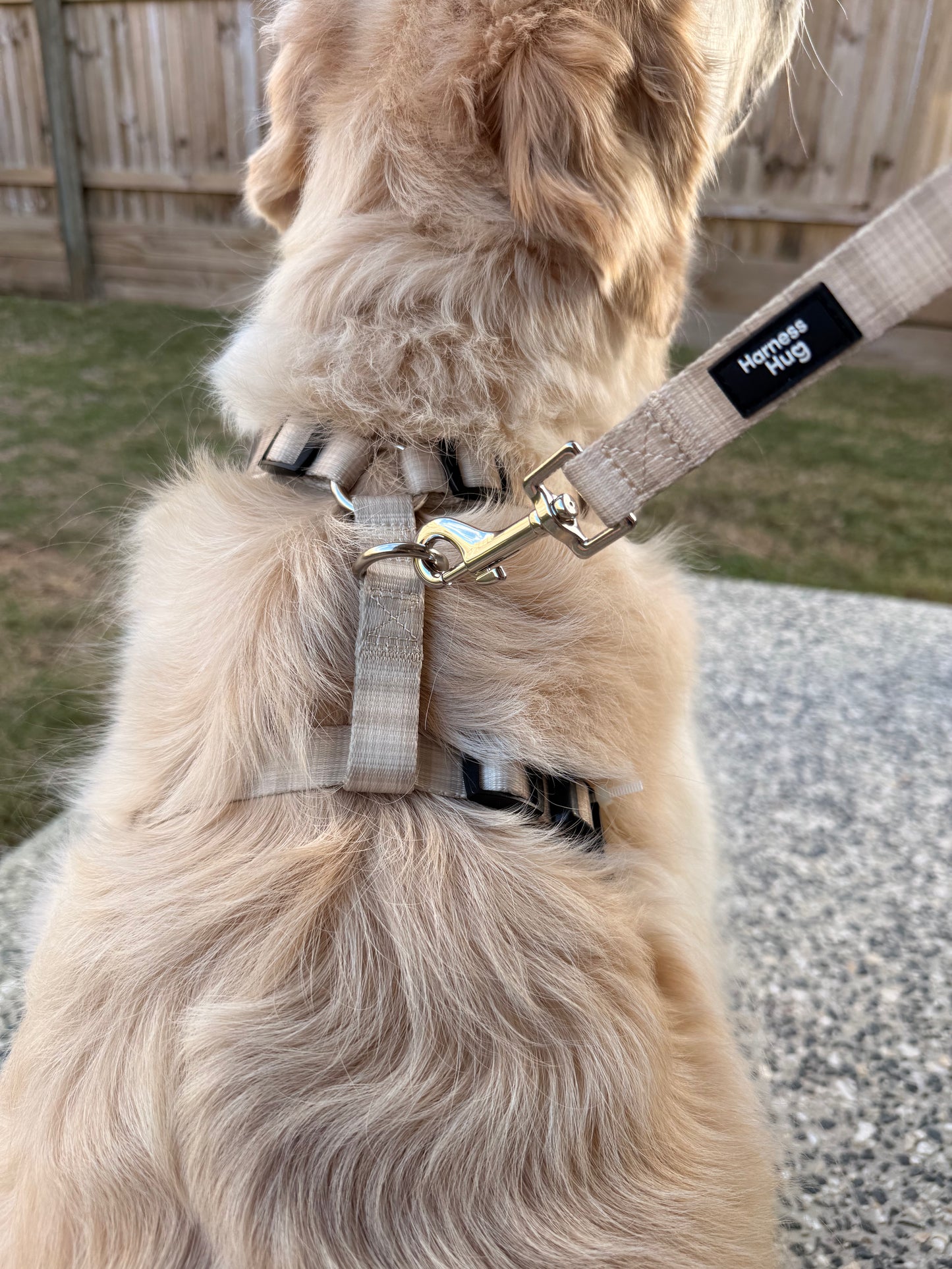Harness-Tartan