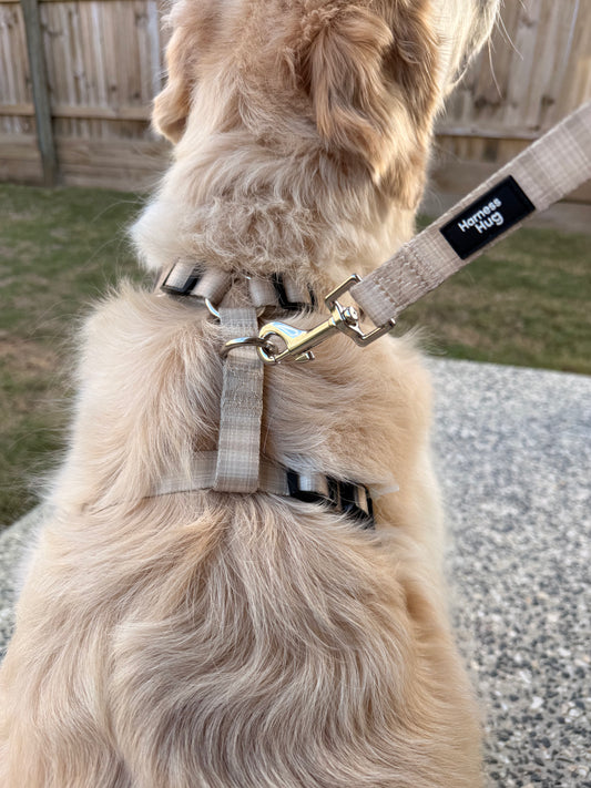 Harness-Tartan