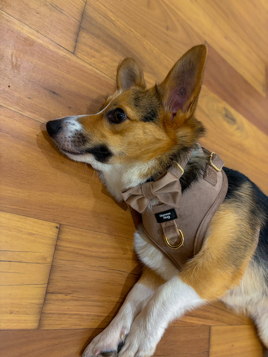 Velvet Harness-Mocha